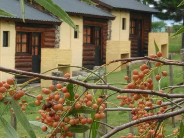 La Araucana Tacuarembó Exterior foto