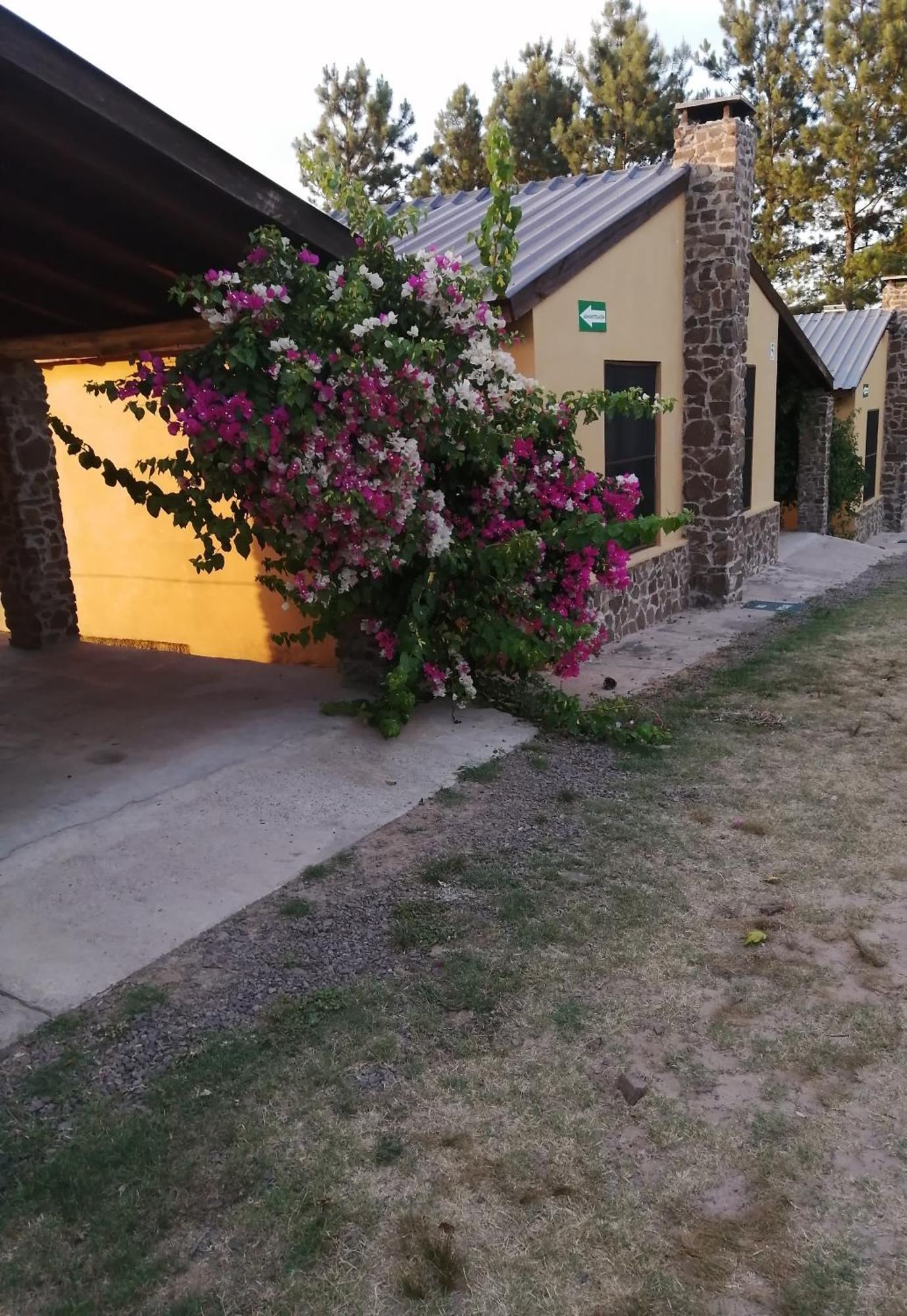 La Araucana Tacuarembó Exterior foto
